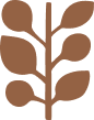 leaves in brown color