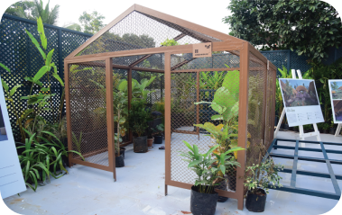 Green House